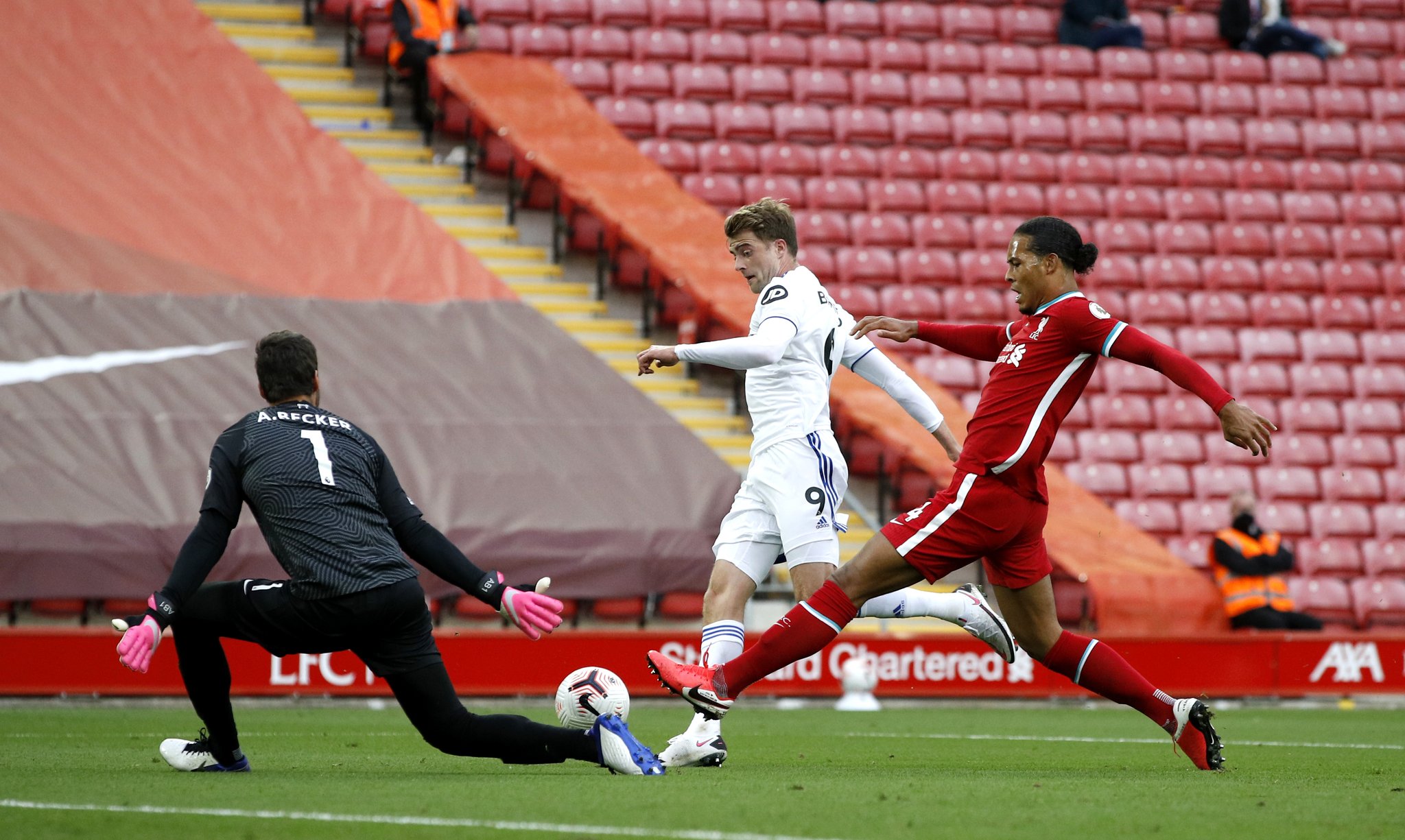 注的是马莱 注的是马莱