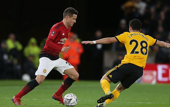 蓝狐为什么 蓝狐为什么